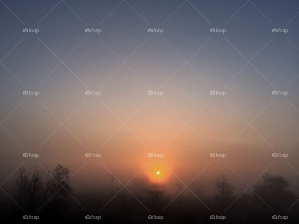 Sunrise mist