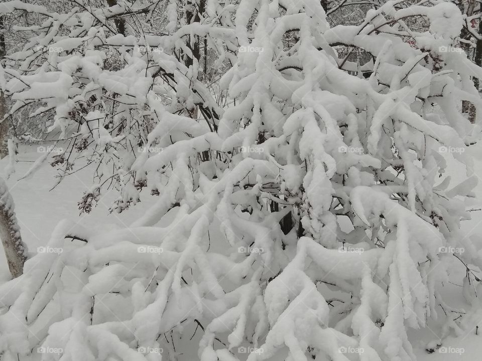 New portion of snow in the Moscow region.