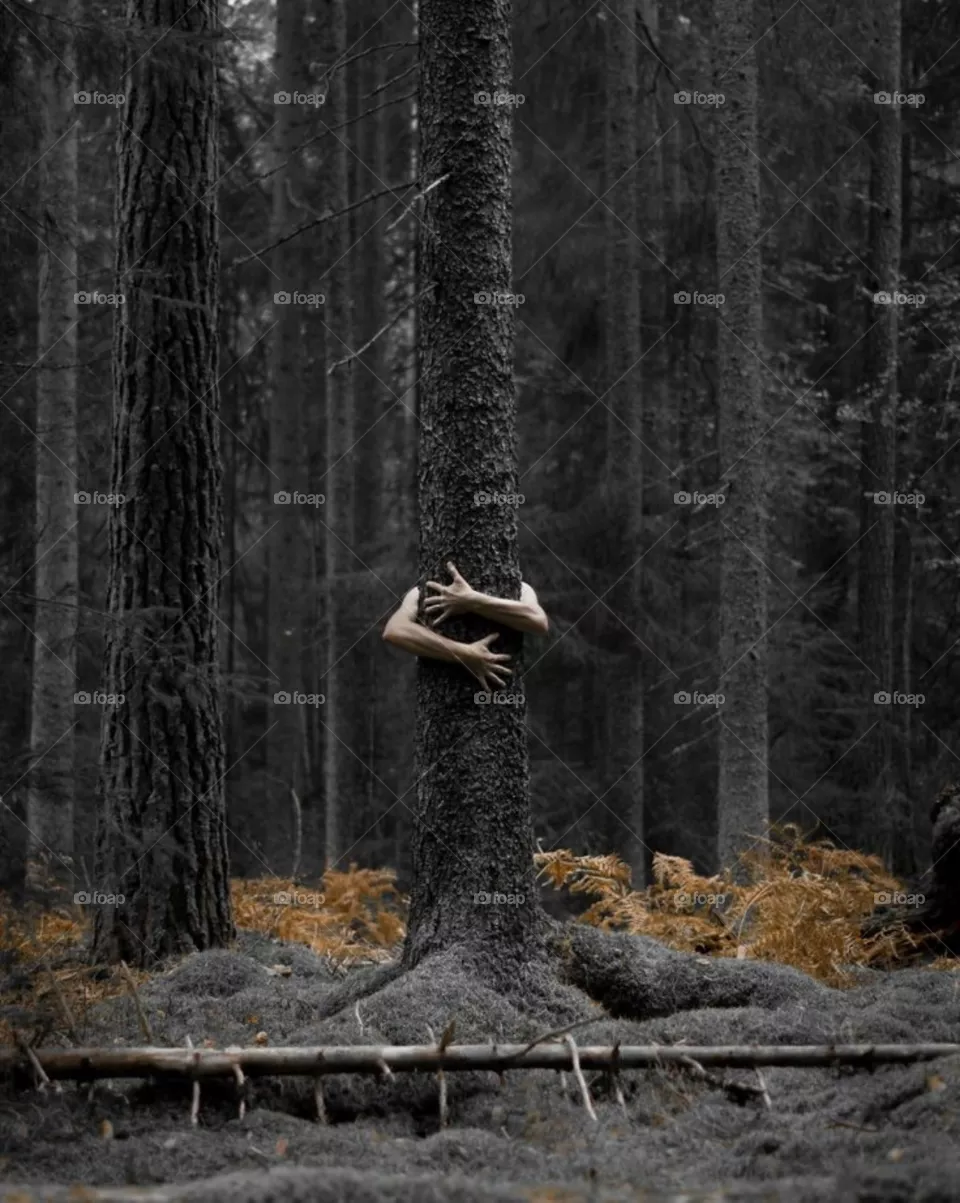 Artistic photos