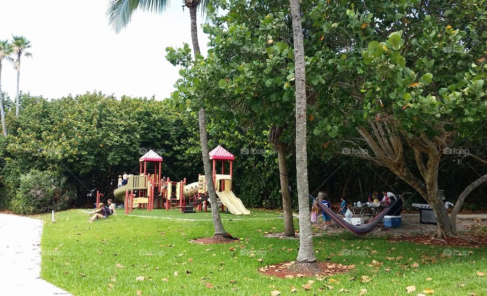 Tree, Garden, Park, People, Landscape