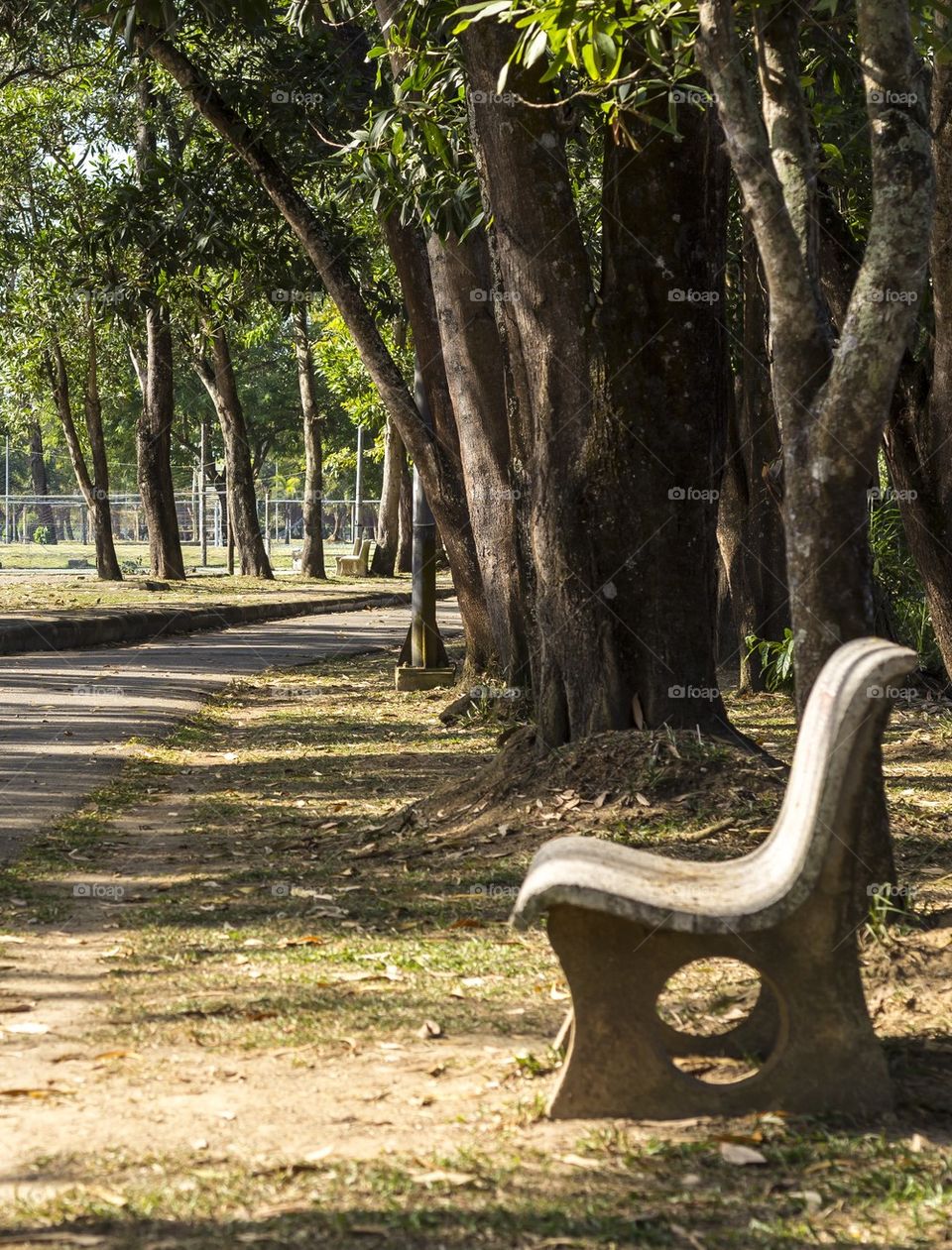 Bench In The Autumn Park