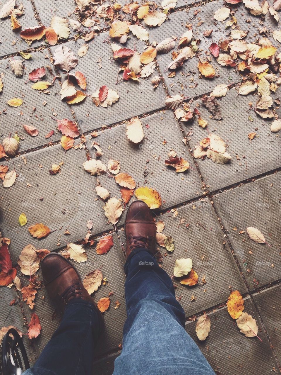 Autumn / shoes 