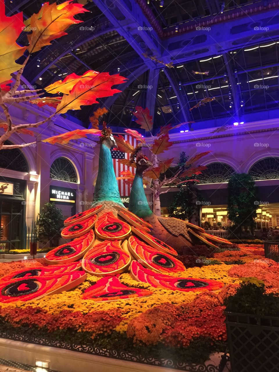 Giant colourful peacocks In Bellagio foyer