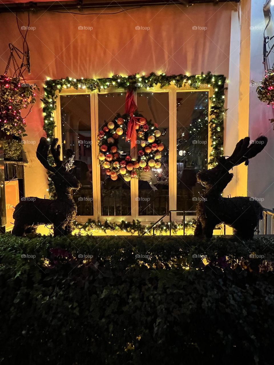 Twinkling windows : the beauty of evening light.