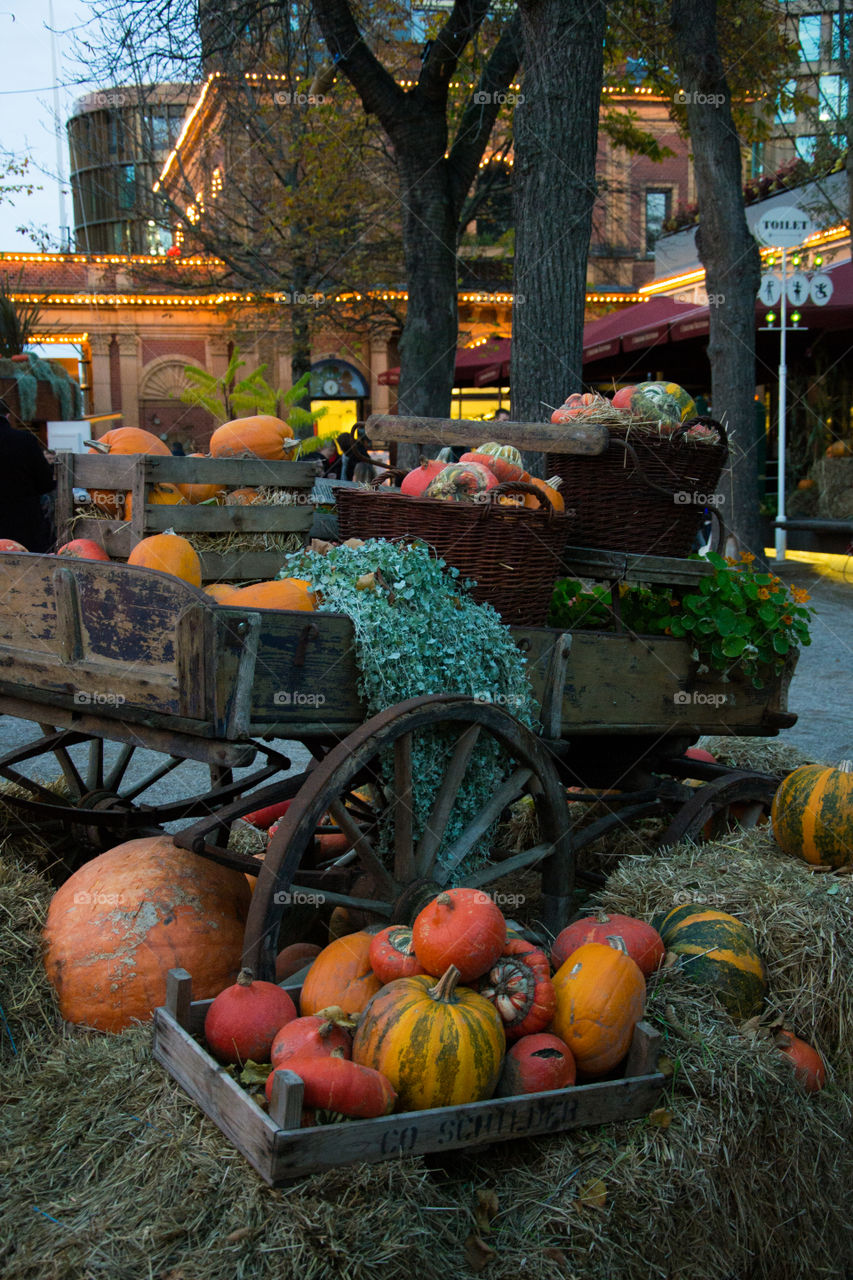 Pumkins at a market in a theme park in Copenhagen.