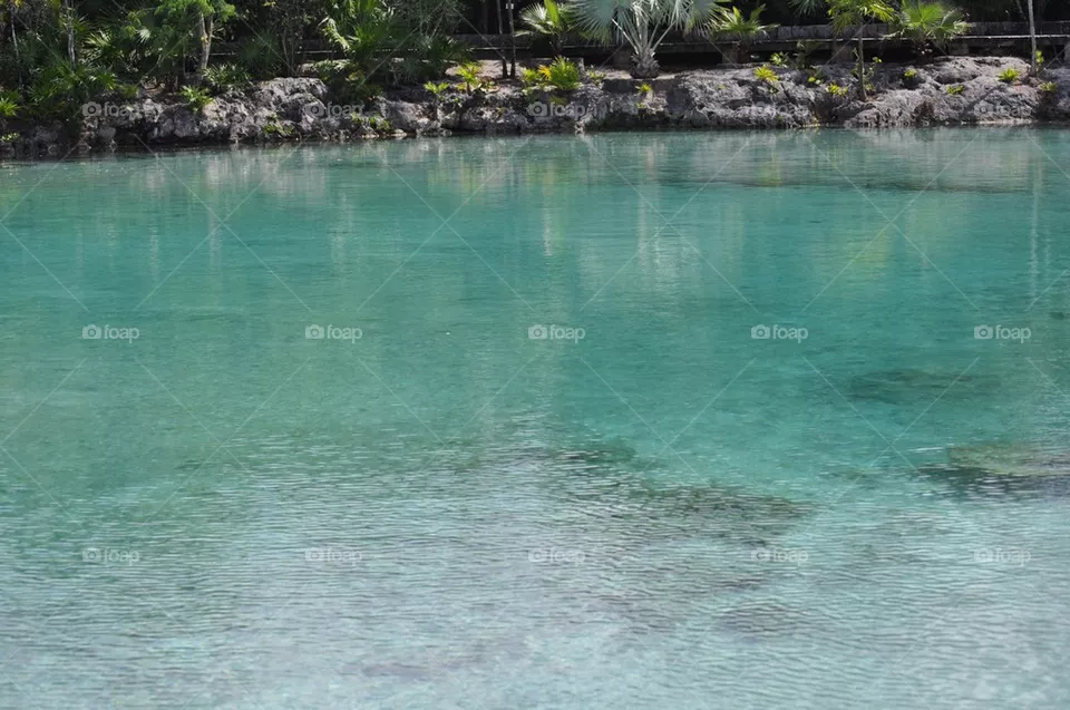 Water