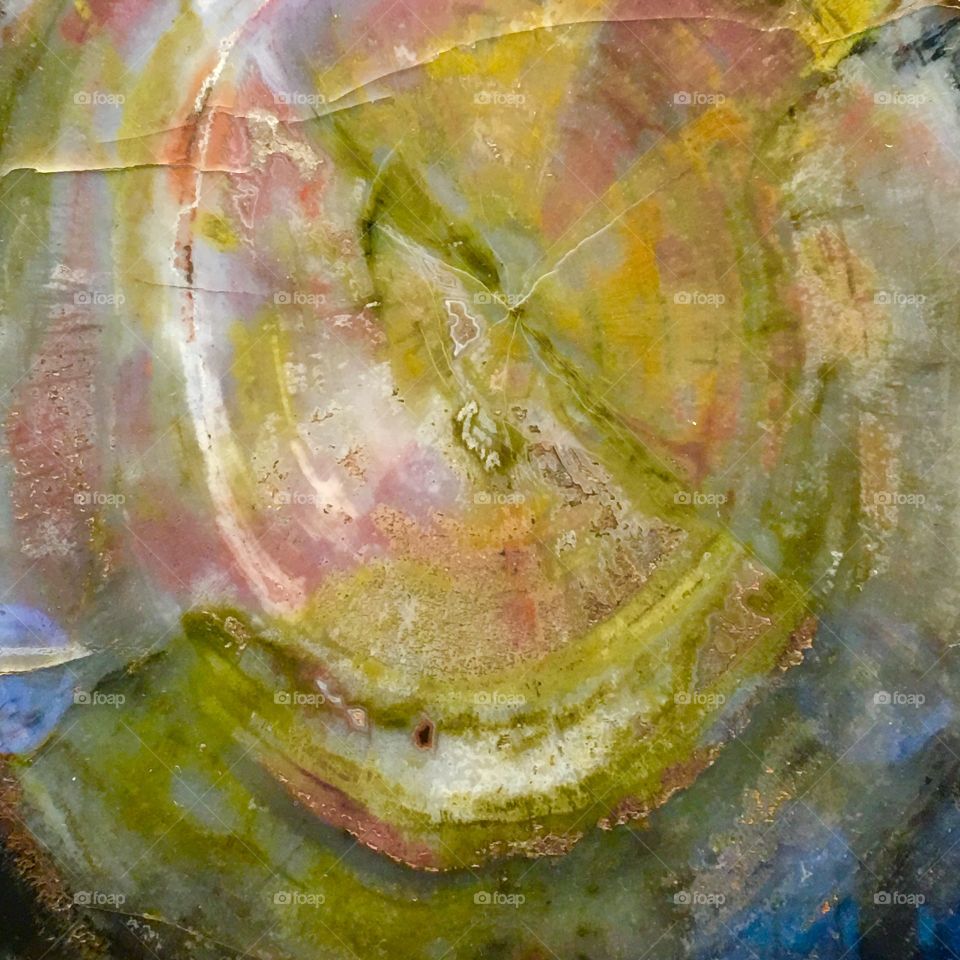 Abstract crystal texture of silified wood