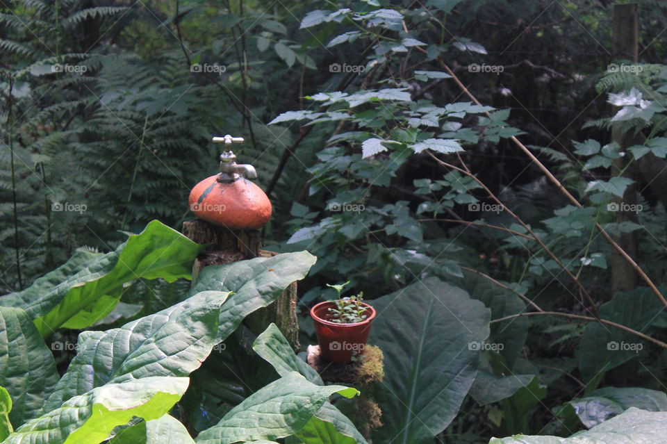 A unique little park on the West coast.A faucet is attached to an orange rock and below it is a potted plant. Of course the faucet doesn’t actually work but rainwater trickles down from the faucet to water the plant. 