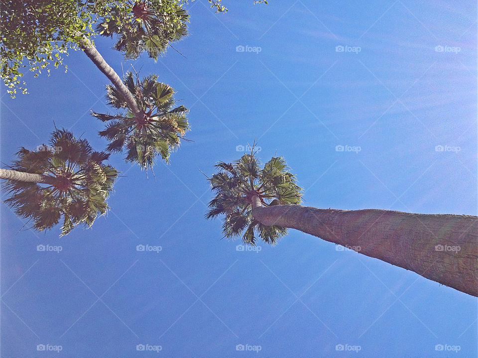 beach sun california island by campbellrobertson