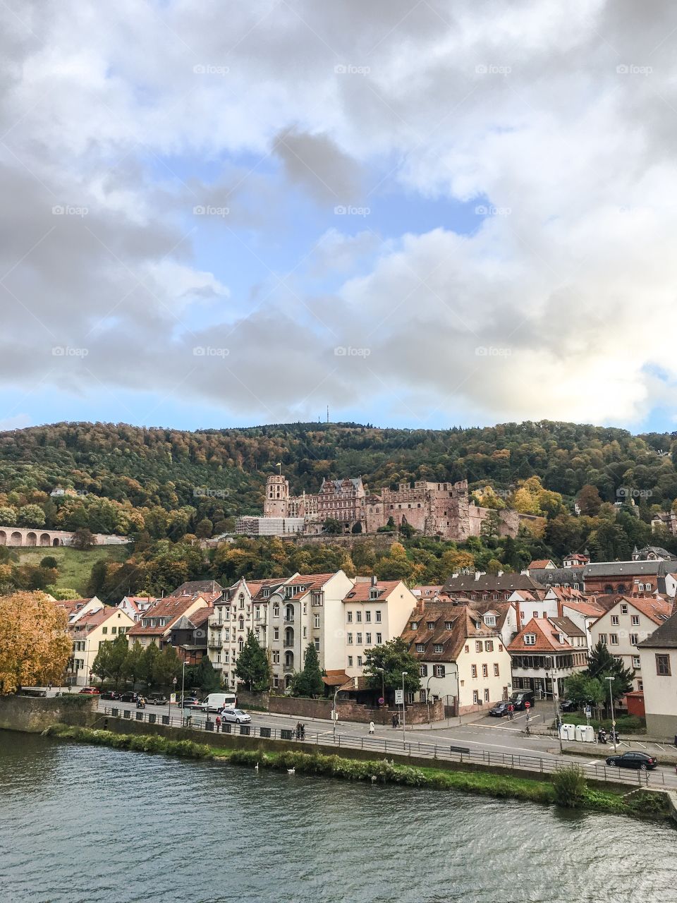 heidelberg view