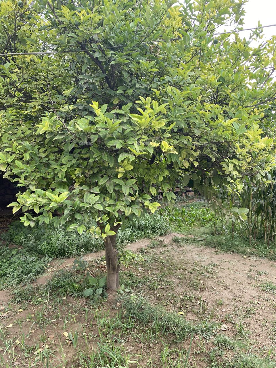 Beautiful weather today very nice and cold 🥶