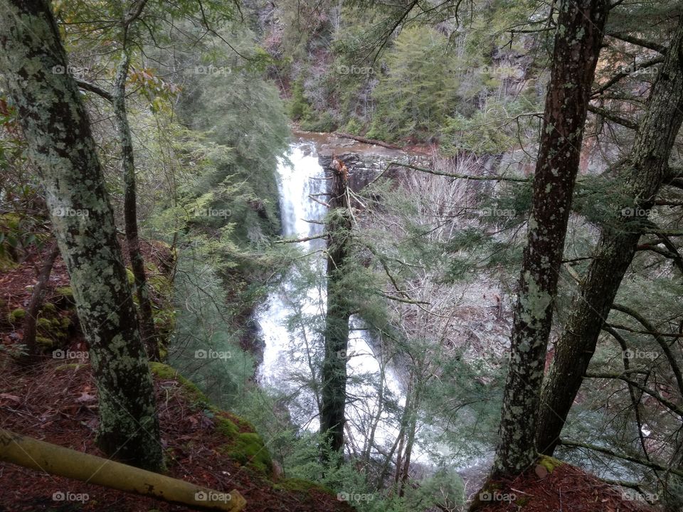 fall Creek falls state park