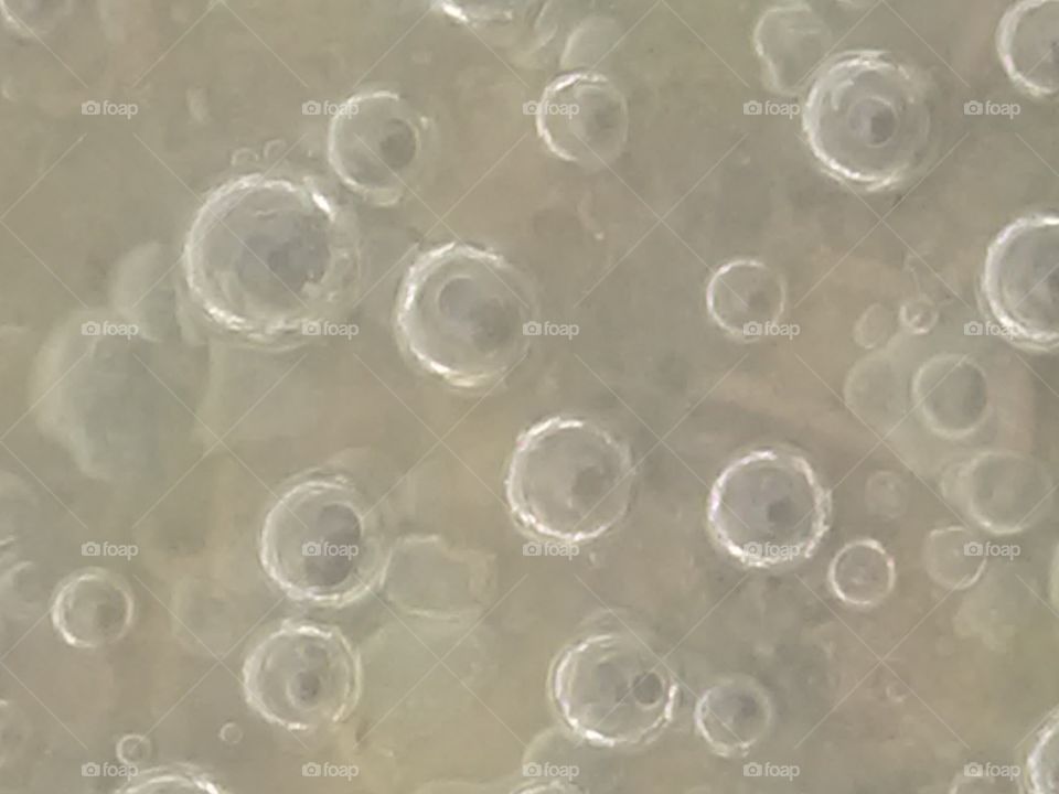 This is a very beautiful water bubal on the reverse.