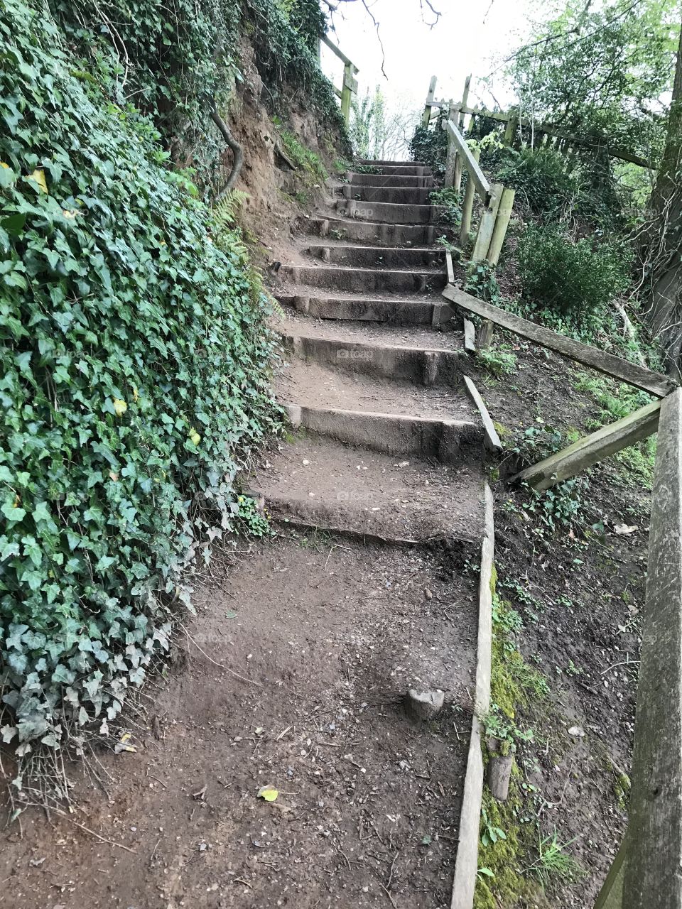 One of the delightful pathways to be found on this nature trail to  Budleigh Salterton.