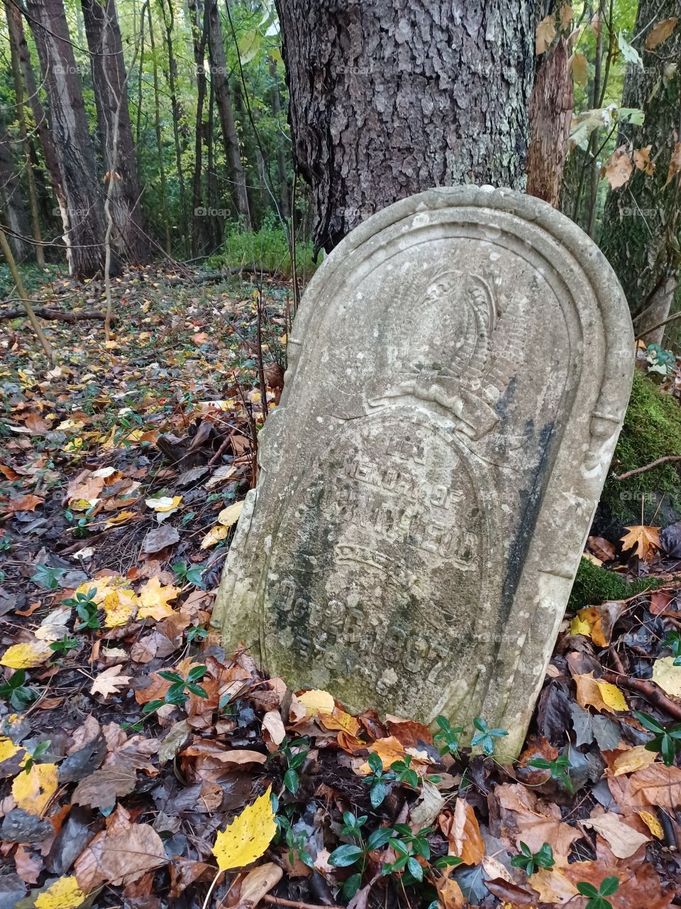 Tombstone In Abandoned Cemetary