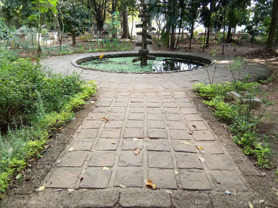 Footpath and aquarium