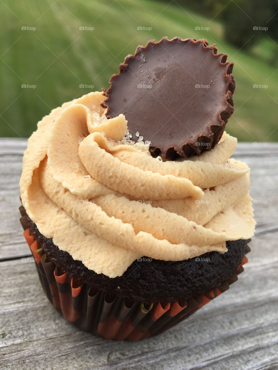 Chocolate Cupcakes with Peanut Butter Buttercream Icing topped with a Peanut Butter Cup