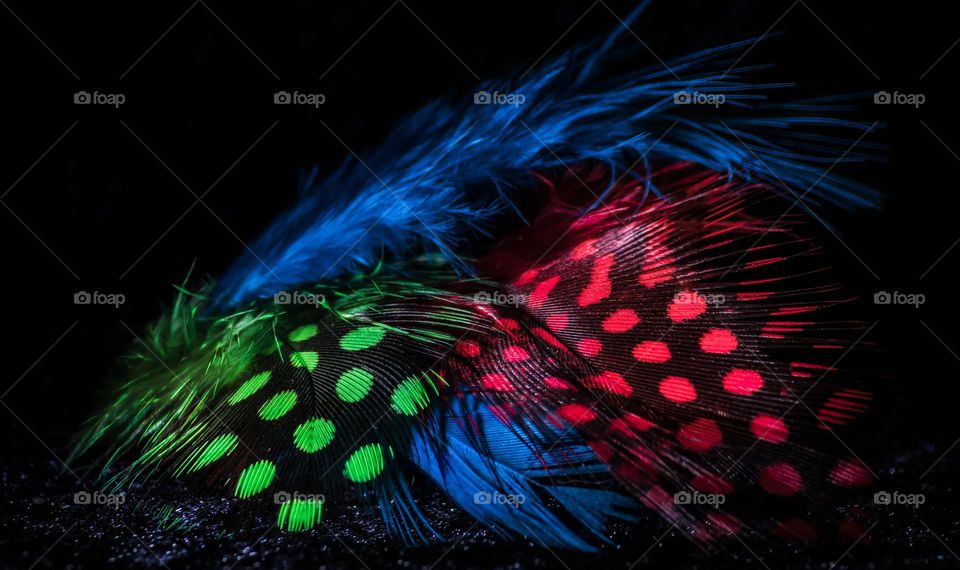 Colourful feathers against a black background 