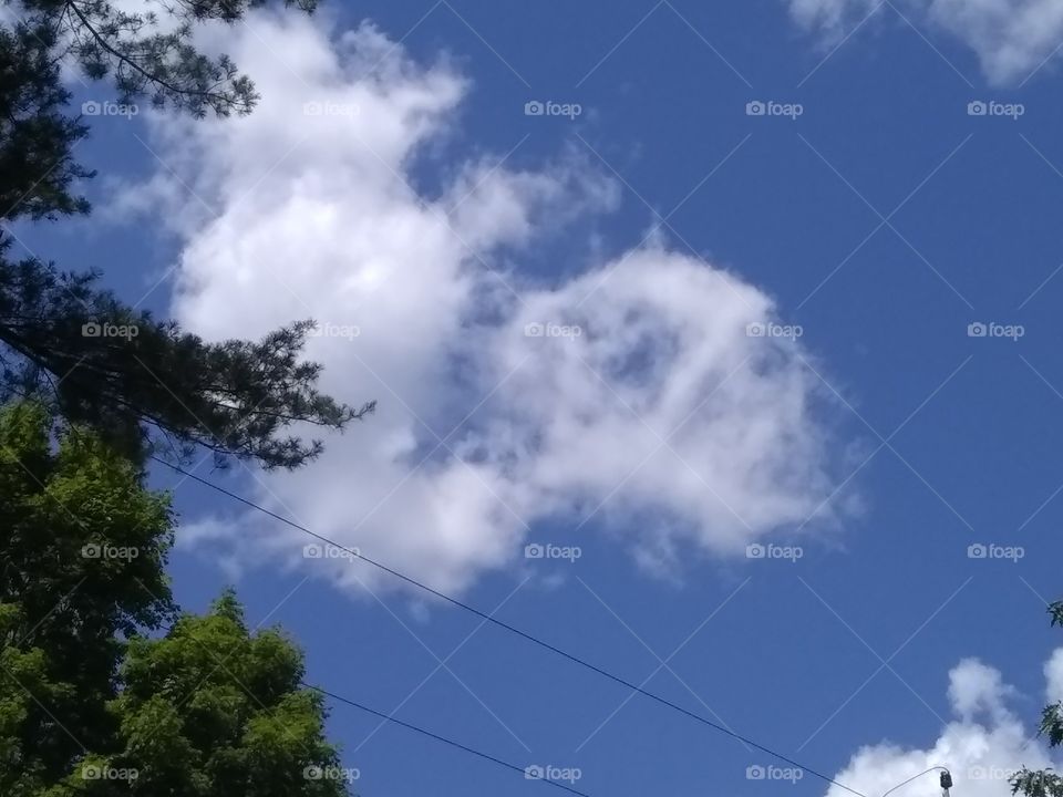 Face in the cloud