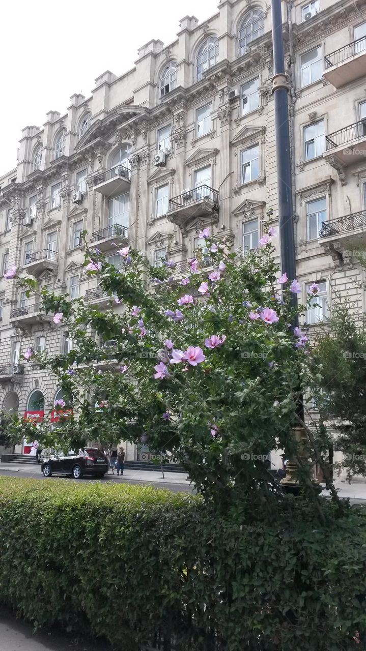 architectural building