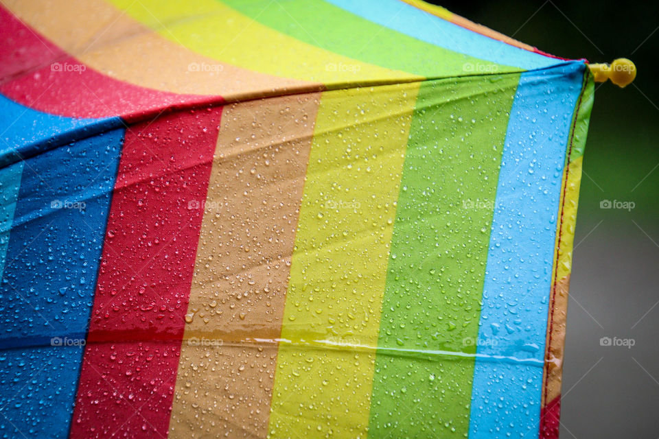 Colourful wet umbrella
