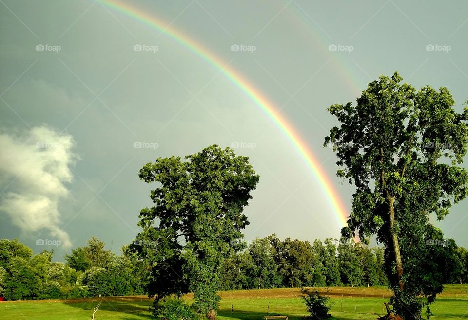 Double Rainbow