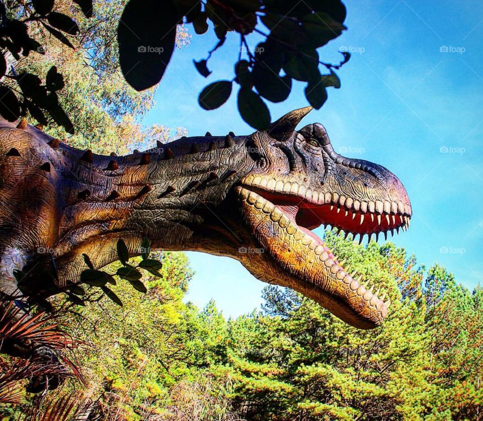 Tyrannosaurus Rex in the park of the dinosaurs - Gramado-RS