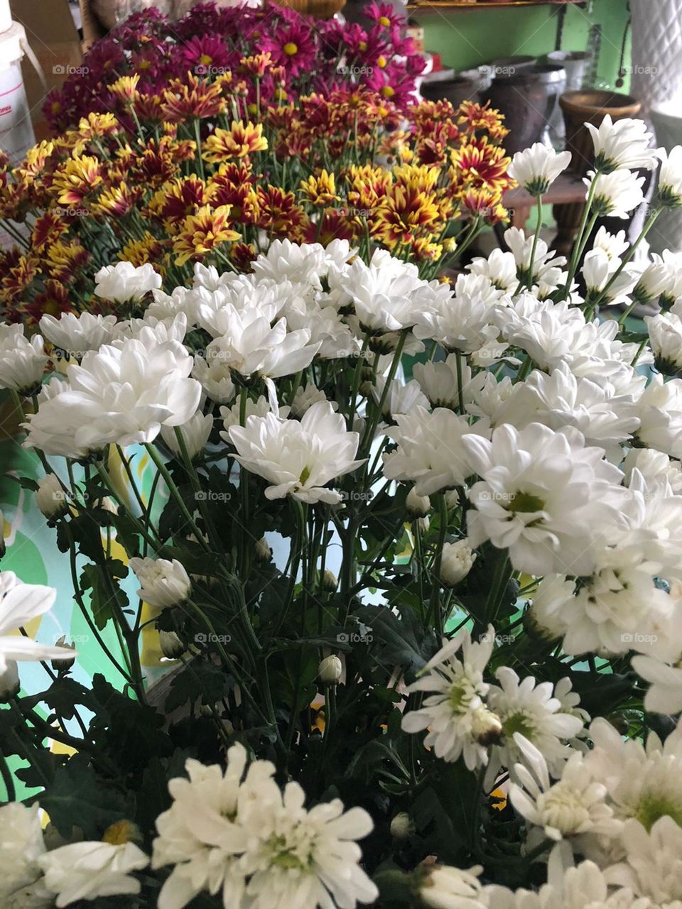 Come on, who wants to take one flower