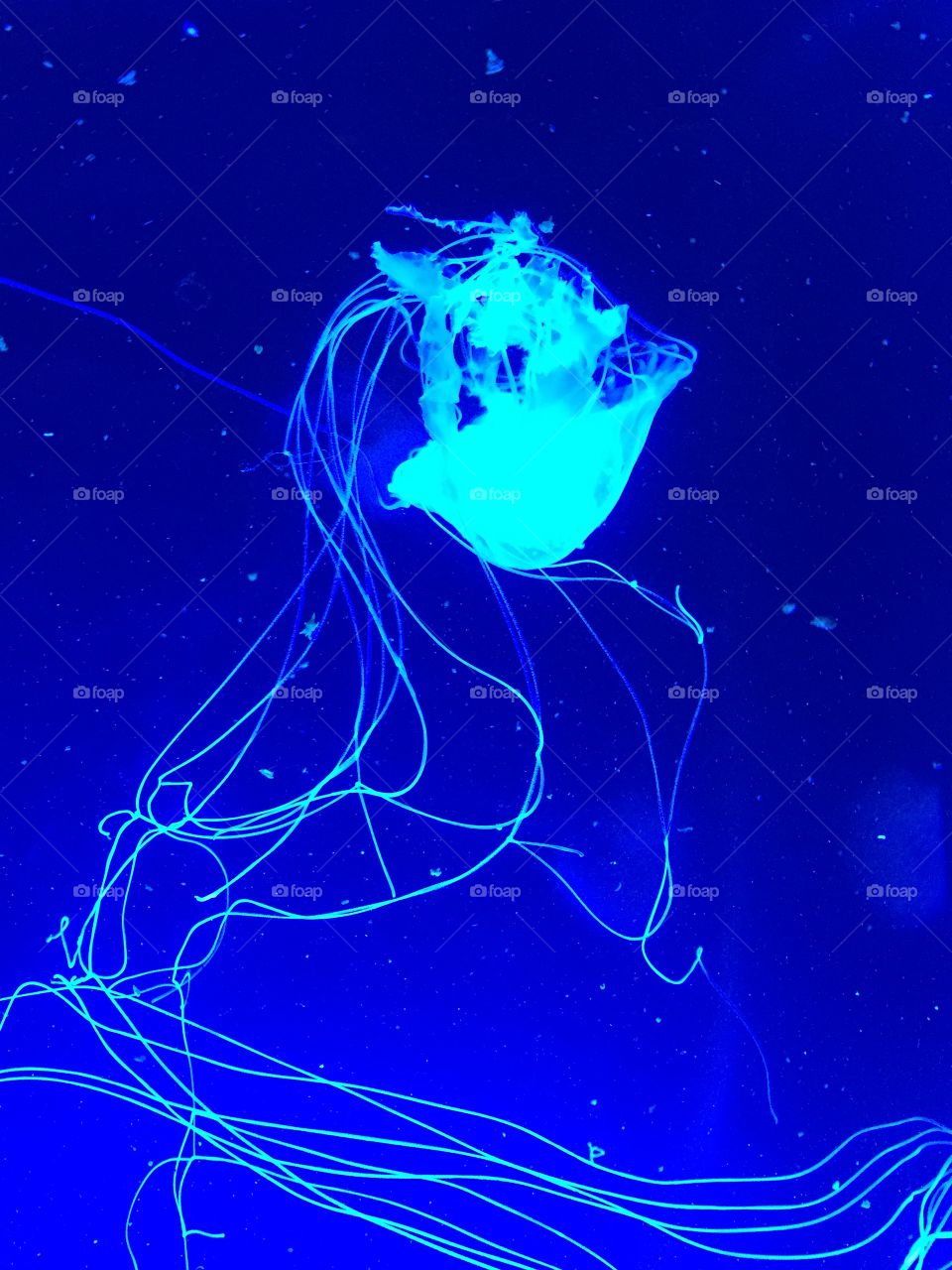 Underwater Streamers