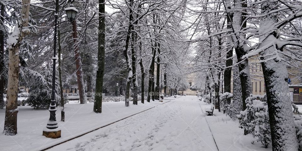 beautiful villa park winter