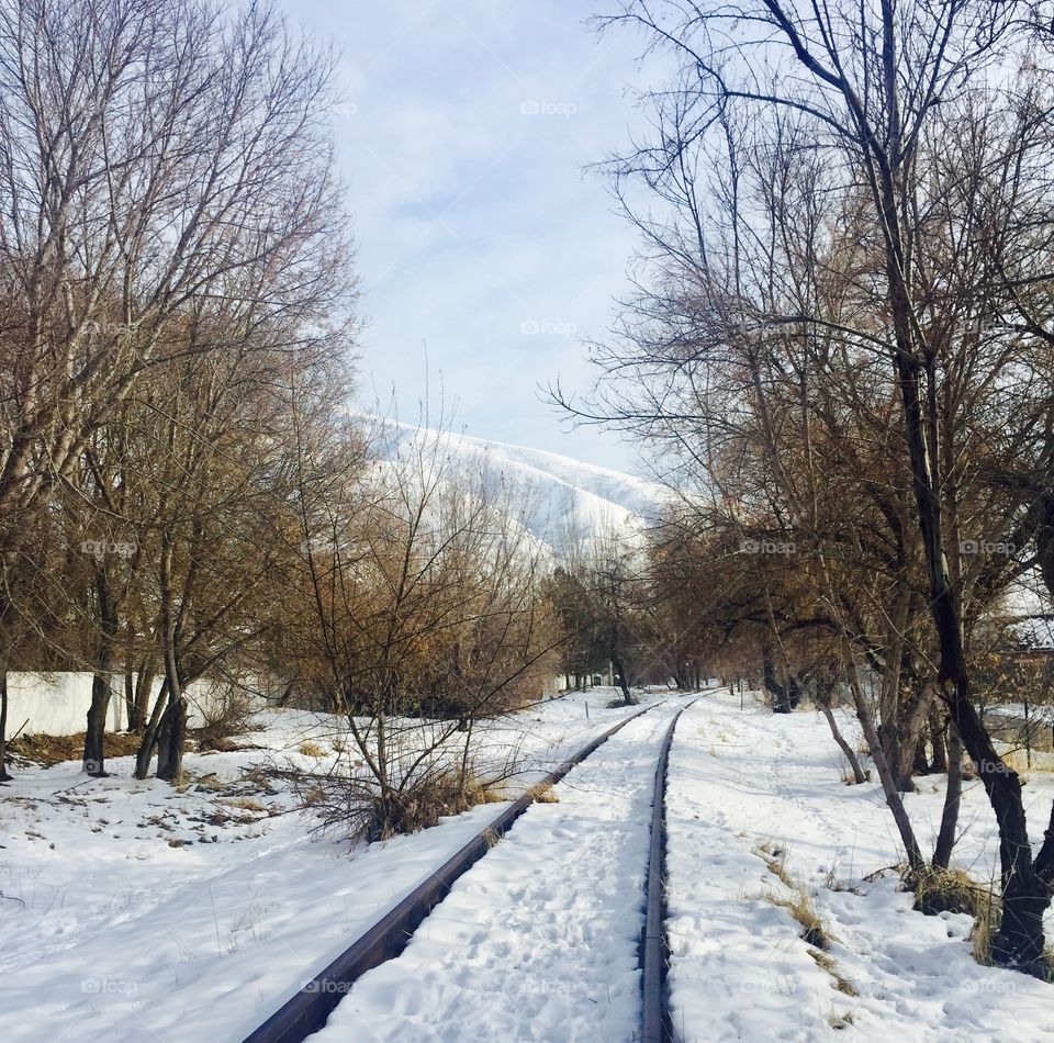 Train Track to Nowhere.