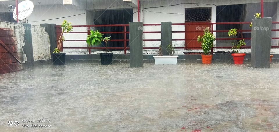 #foap #infoapartemen #foapjuly18 #foapaug18 #foapfeb18 #foapapril17 #foapers #foapjune18 #fotografoaprendiz #sfoapprentices #foaper #infoapartment #foapmission #foapmay18 #foapapr18 #foapit #infoaplikasipaytren #infoapple #foapom #foapjan19 #infoapp