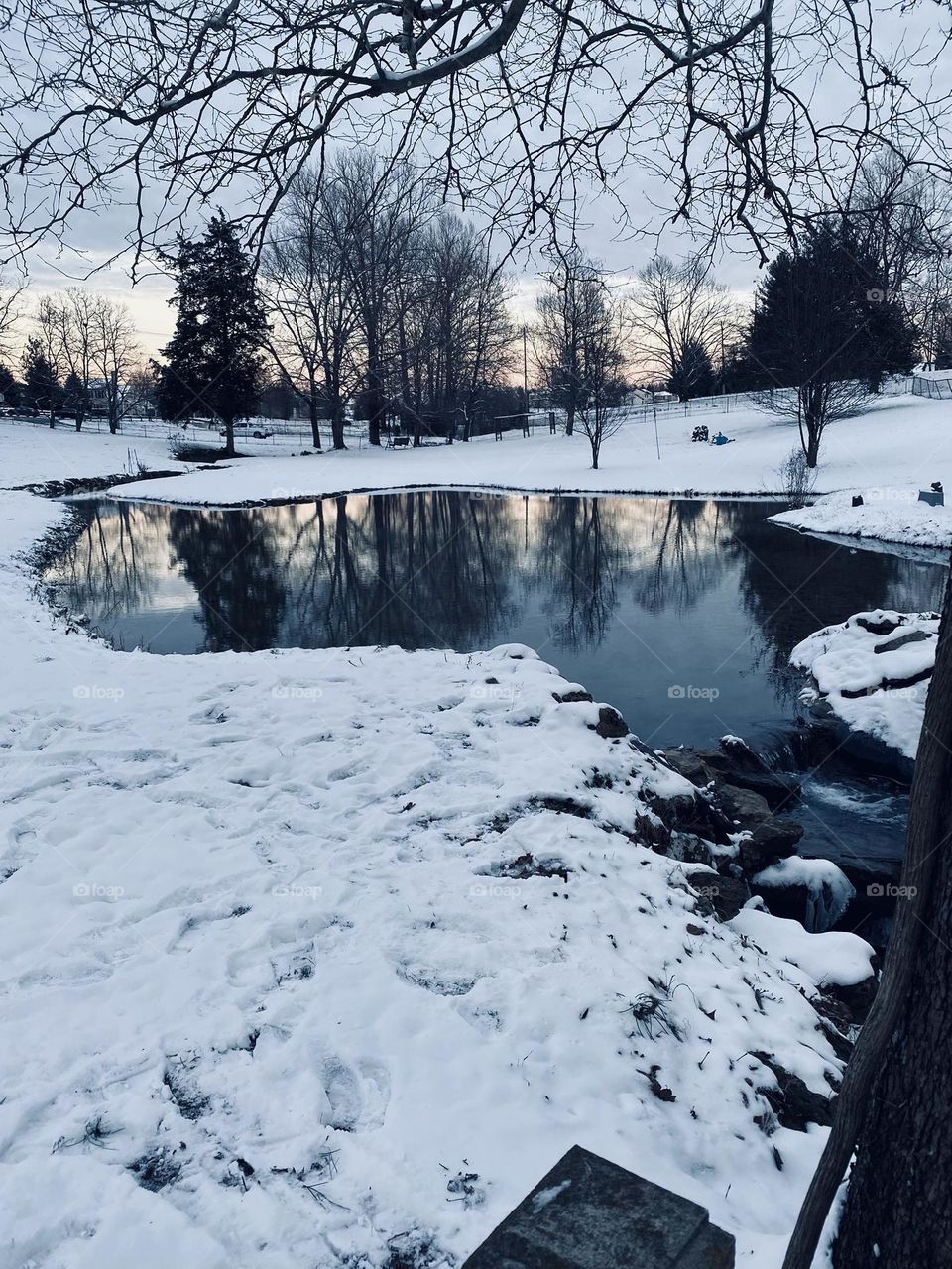 Serenity pond, first snow of winter