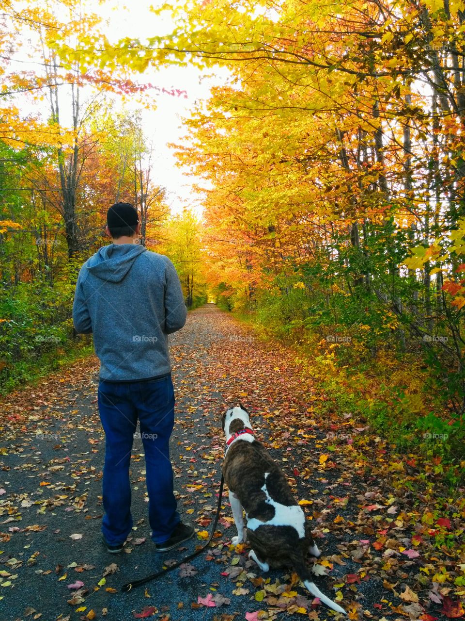 autumn walk