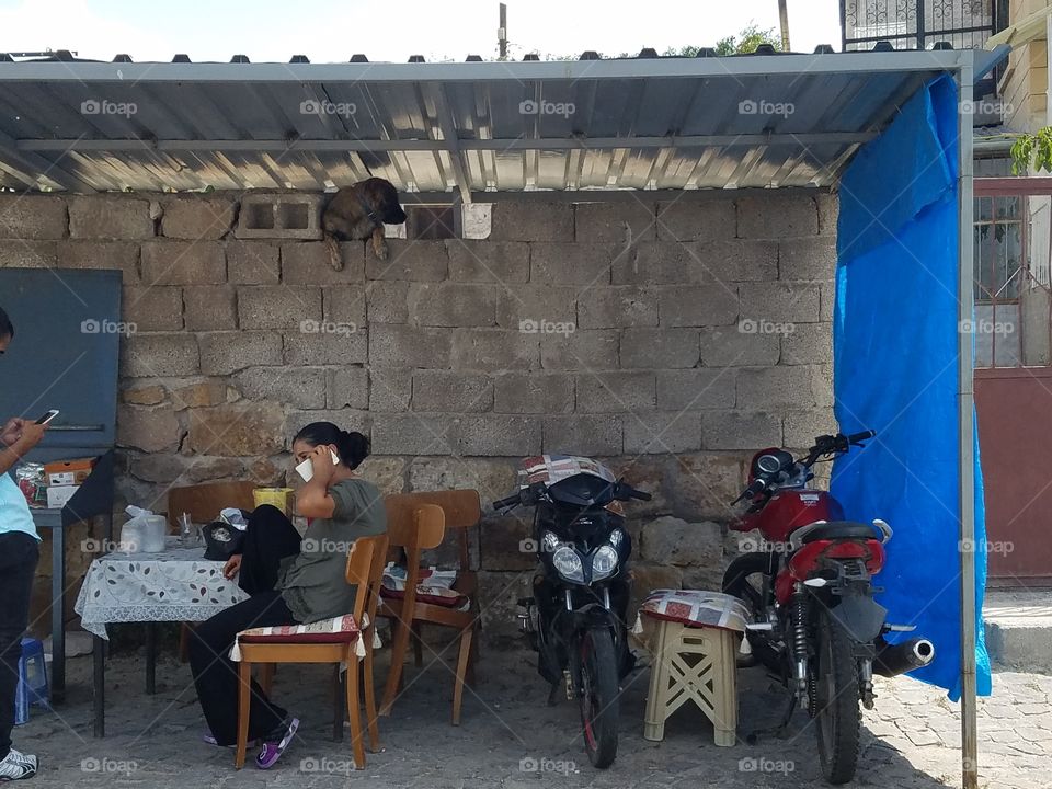 hanging out in the shade in Cappadocia Turkey,  dog poking his head through the top