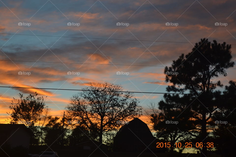 Sunset, Tree, Silhouette, Dawn, Evening