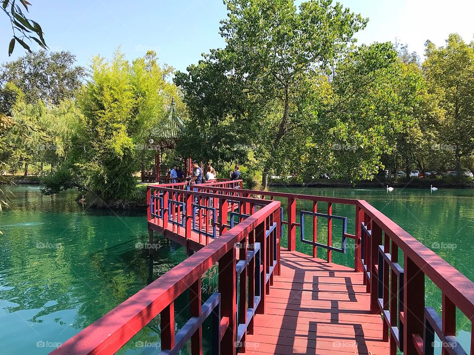 Chateau Montelena Winery 