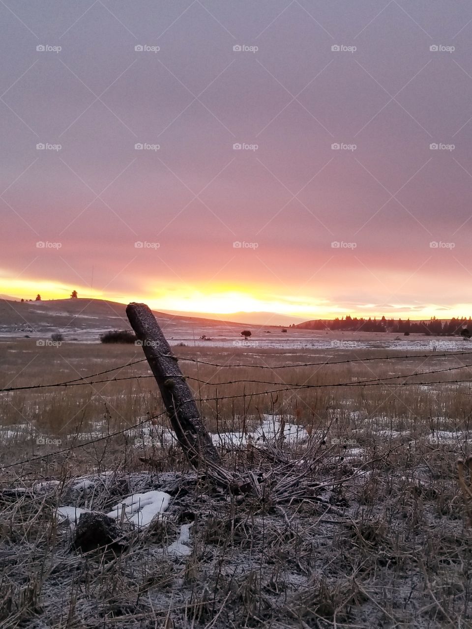 Mornings on the Prairie