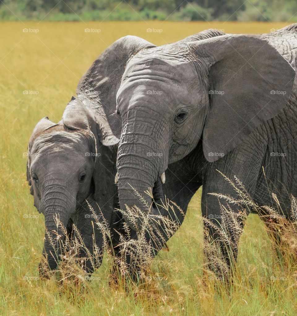 Mother and Child Reunion