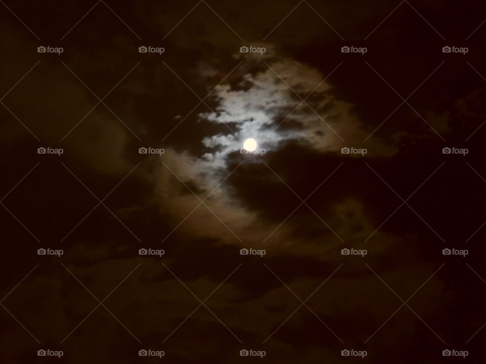 moonstruck 2. This is a picture I took last night. 👣 🚶 🏃 🔥 💨