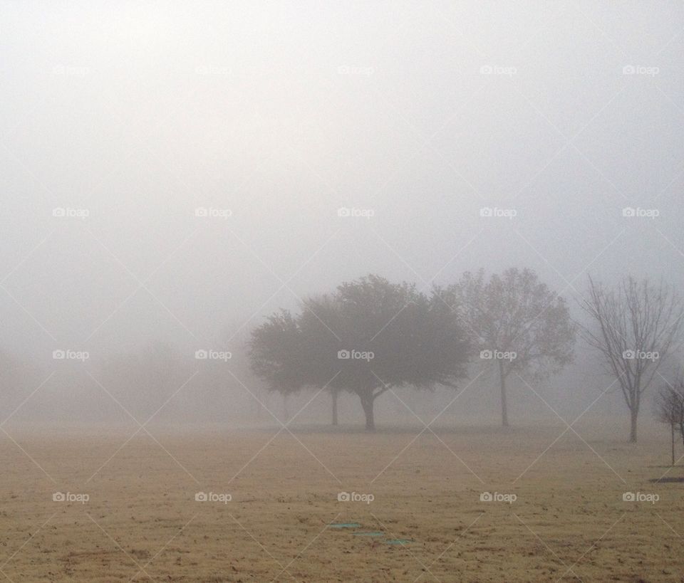 Foggy morning. Foggy morning walk 