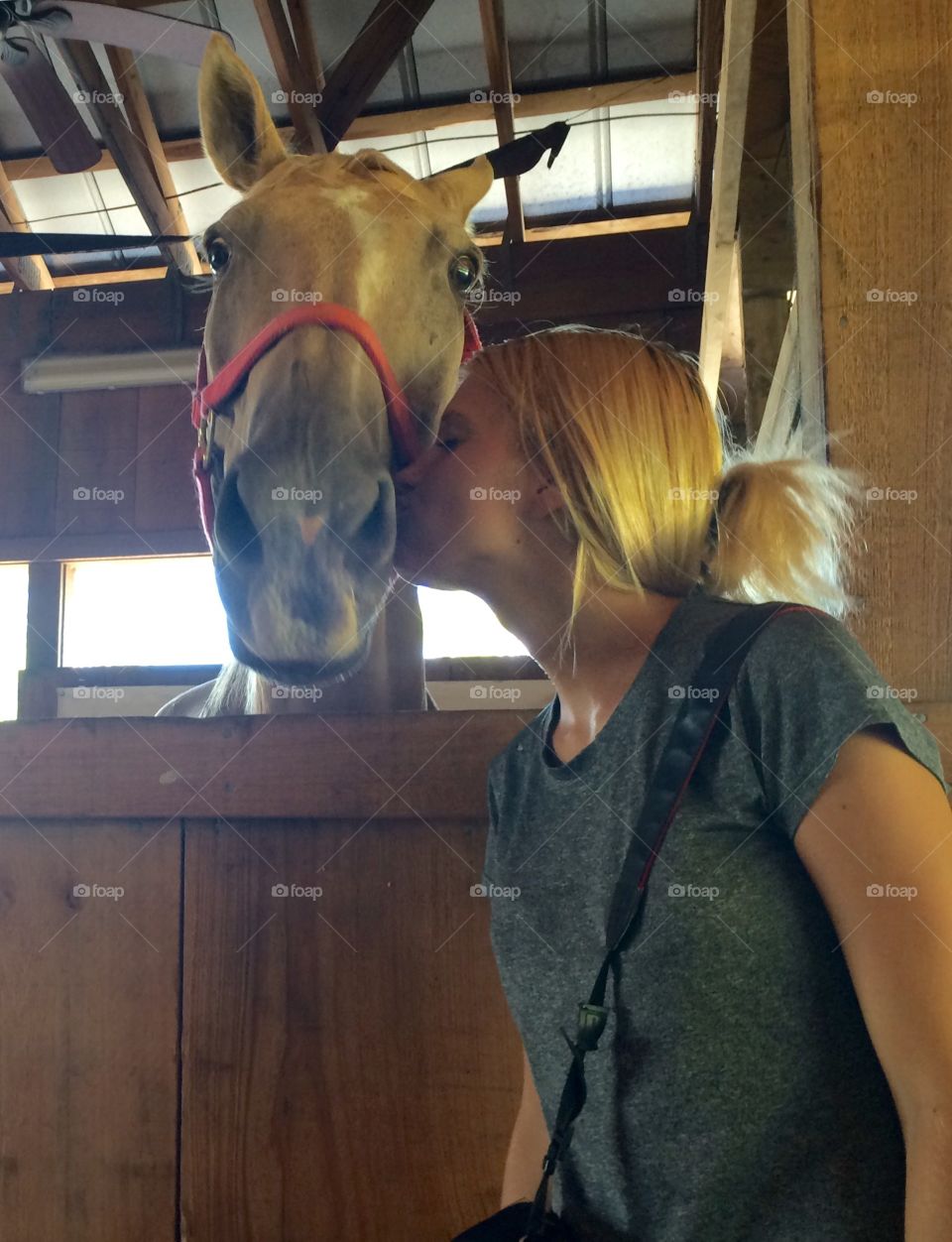 Female kissing a horse 
