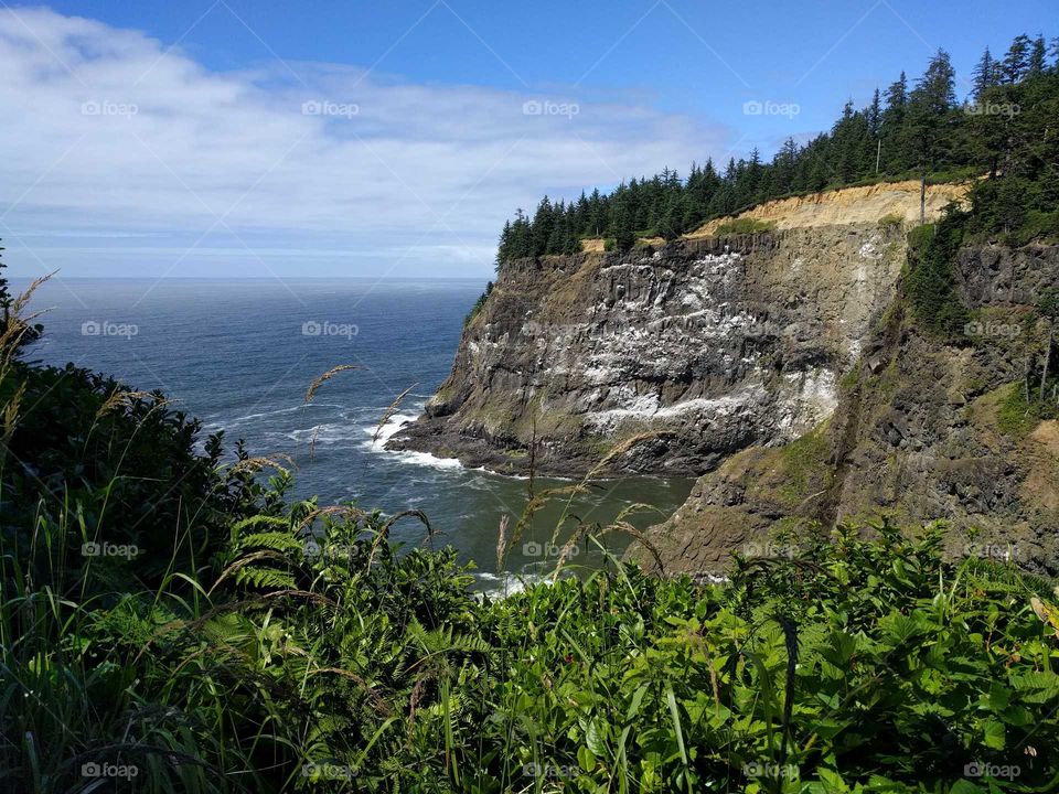 Oregon Coast