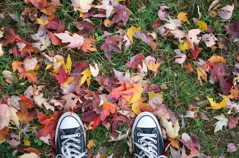 Shoes and leaves 