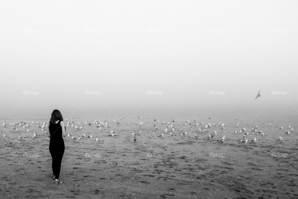 Alone time with seagulls, along the shore 
