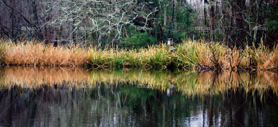 lake reflection by dodsongallery