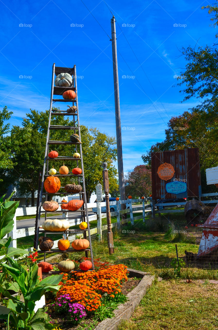 Squash and pumpkin display at a local pumpkin patch in the fall