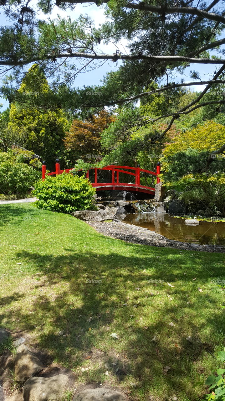 Japanese garden