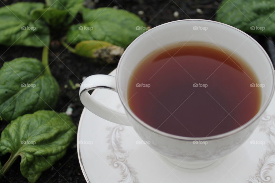 Black tea in classic tea cup