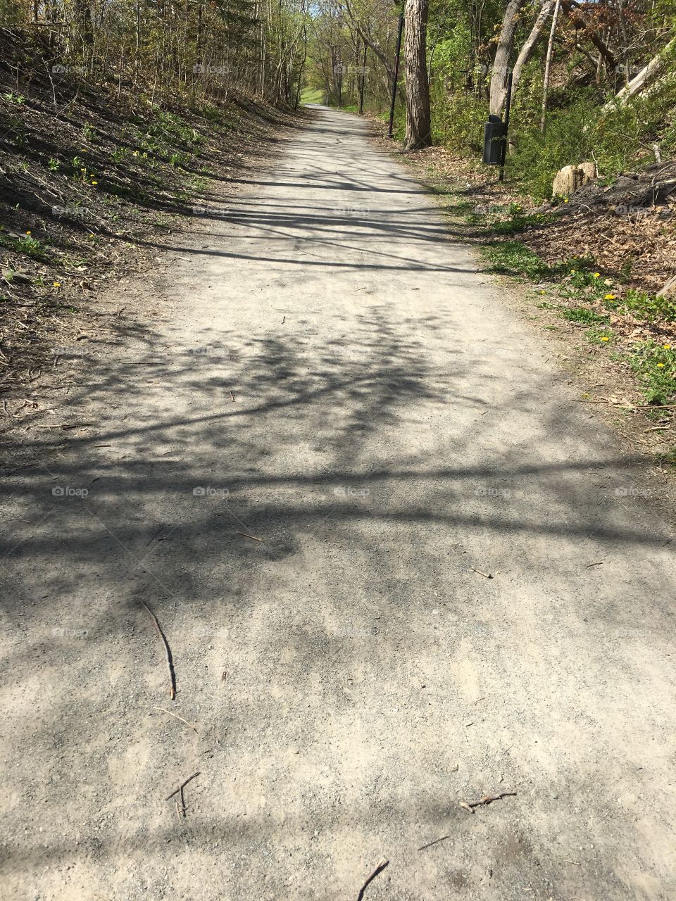 It looks like black vines are growing across the path